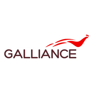 logo-galliance-300
